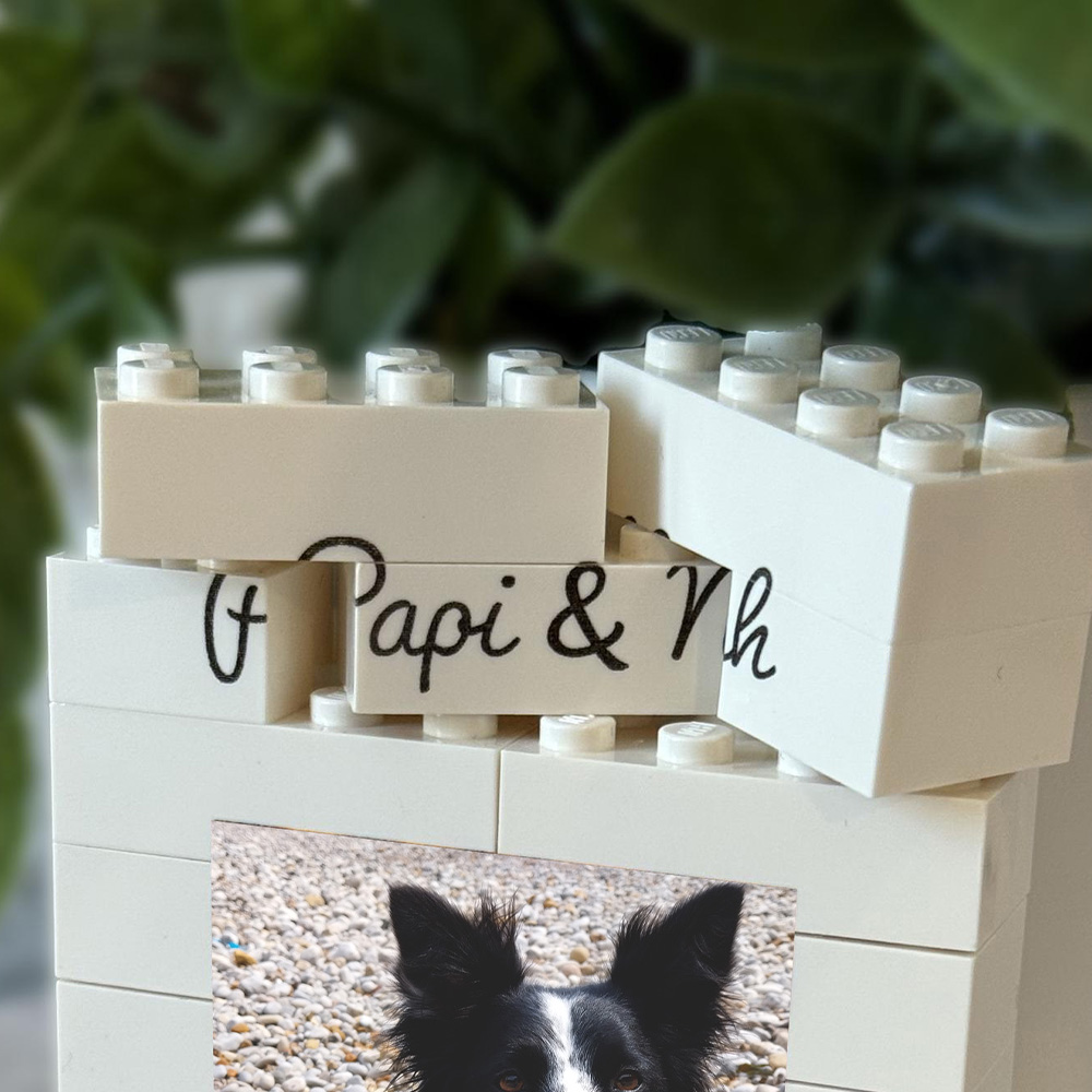 1 x individuelle Haustier-Baus – Building Blocks Bewertung und Preis